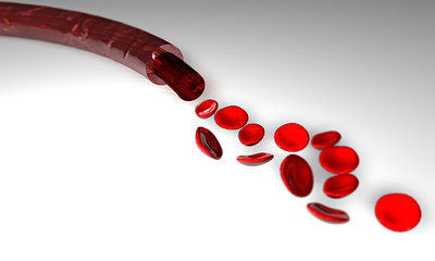 Vena sangue globuli rossi arteria