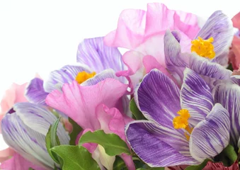 Photo sur Plexiglas Macro Bouquet de printemps