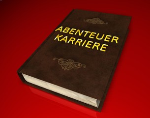 3D Buch II - Abenteuer Karriere