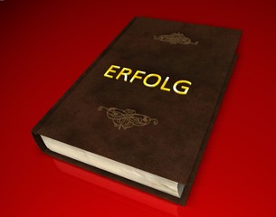 3D Buch II - Erfolg