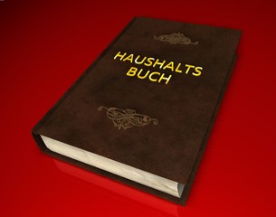 3D Buch II - Haushaltsbuch
