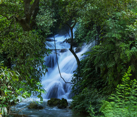 Obrazy na Plexi  Wodospad w lesie