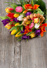 fresh colorful tulips over wooden background