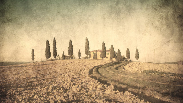 vintage tuscan landscape
