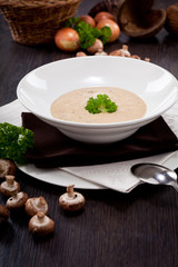 frische hausgemachte champignon creme suppe