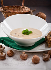 frische hausgemachte champignon creme suppe