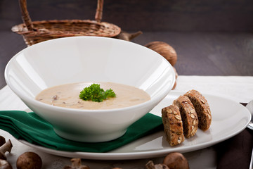 frische hausgemachte champignon creme suppe