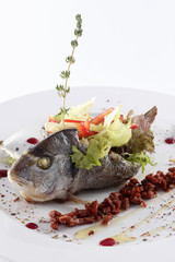 Dorado fish on the white plate, Рыба на белой тарелке