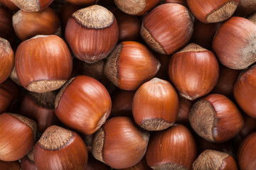 Hazelnuts