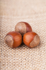Obraz premium Hazelnuts
