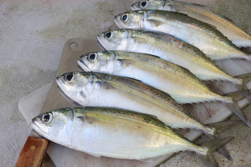 Fresh fish on the chopping block