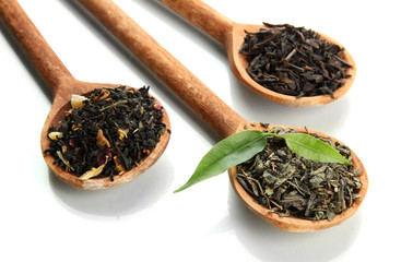 Dry tea with green leaves in wooden spoons, isolated on white