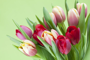 Red and yellow tulips