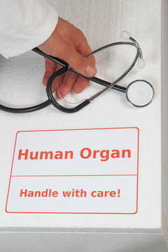 Box fuer Organtransplantation mit Hand von Arzt