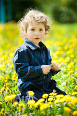 little boy in flowers field