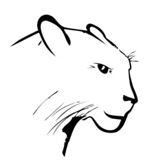 Panther on a white background © vmaster2011