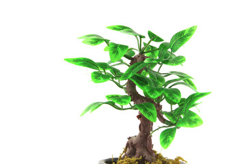Artifical Bonsai tree