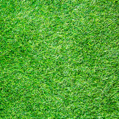 Artificial Grass Field Top View Texture
