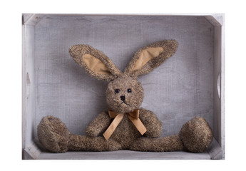 hase zum kuscheln