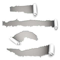 Vector Illustration of Torn Paper - 50274415