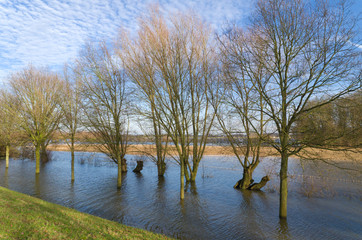 flooded land