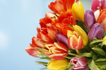 Frühling bunter Tulpenstrauss - spring floral bouquet tulips