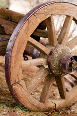 Rustic old weathered horse carriage vehicle wheel