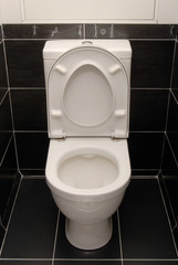 The white toilet bowl is in black interior.