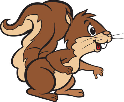 Friendly Squirell