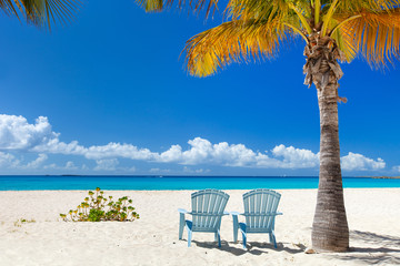 Beautiful Caribbean beach - obrazy, fototapety, plakaty