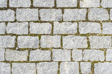 Coblle Texture with Grass.