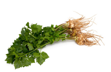 Fototapeta premium celery