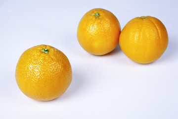 Group of organic oranges