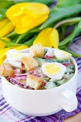 Spring salad with radishes, cucumbers, eggs and crouton