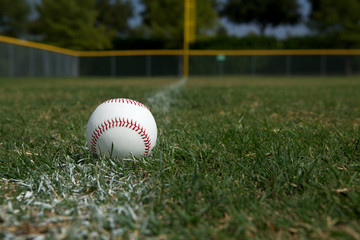 Baseball on the Chalk Line