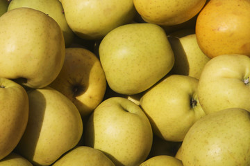 Organic apples