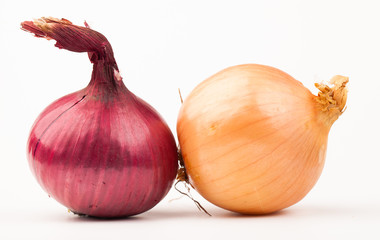 onion isolated on white