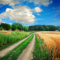 ground road in the fields