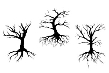 Dead trees with stem and roots