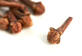 cloves against white background