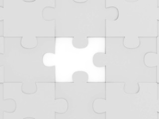 Missing Puzzle Piece