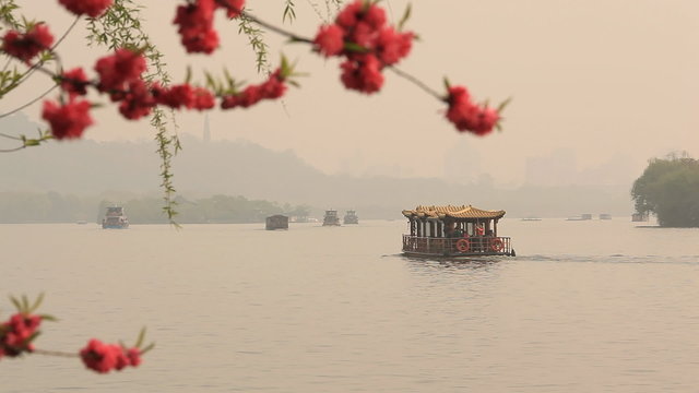 Boats float on the lake. In the foreground blossoming cherry.