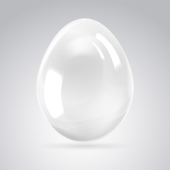 Silver egg on white background.