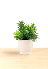 artificial leaf in small porcelain vase for home decoration