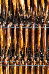 Cold smoked fish 1