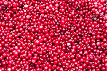 Red Frozen Cranberries