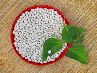 Beans and leaves in red plastic bowl