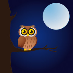 Eule bei Nacht