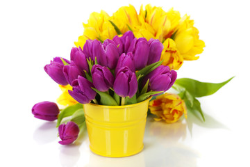 spring tulips