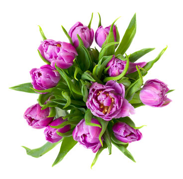 Fototapeta round purple tulips bouquet